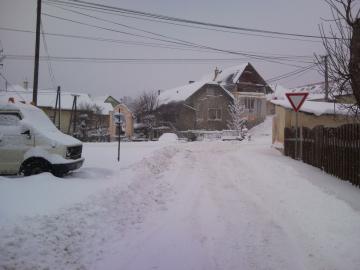 31.1.2010 31.1.2010